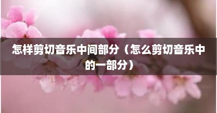 怎样剪切音乐中间部分（怎么剪切音乐中的一部分）