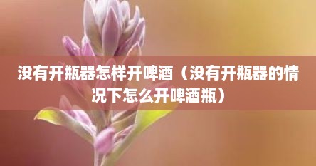 没有开瓶器怎样开啤酒（没有开瓶器的情况下怎么开啤酒瓶）