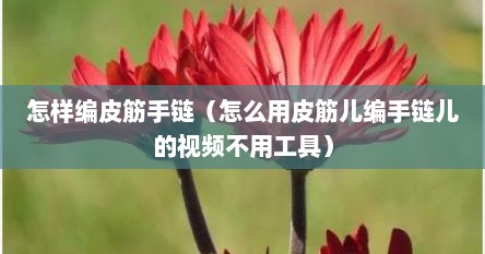 怎样编皮筋手链（怎么用皮筋儿编手链儿的视频不用工具）