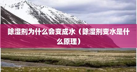 除湿剂为什么会变成水（除湿剂变水是什么原理）