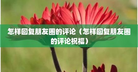 怎样回复朋友圈的评论（怎样回复朋友圈的评论祝福）