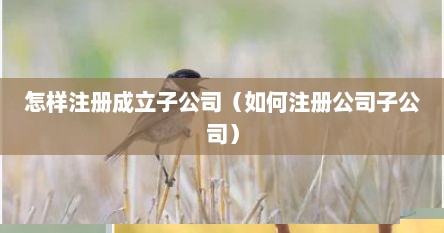 怎样注册成立子公司（如何注册公司子公司）