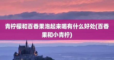 青柠檬和百香果泡起来喝有什么好处(百香果和小青柠)