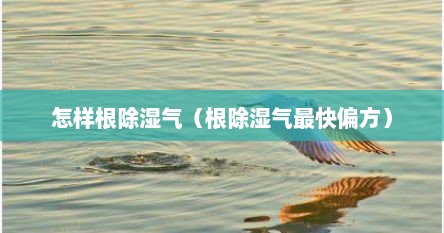 怎样根除湿气（根除湿气最快偏方）