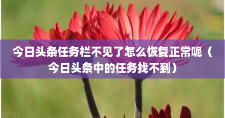 今日头条任务栏不见了怎么恢复正常呢（今日头条中的任务找不到）