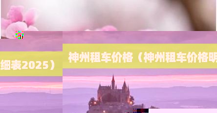 神州租车价格（神州租车价格明细表2025）