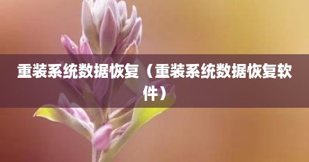 重装系统数据恢复（重装系统数据恢复软件）