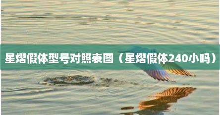 星熠假体型号对照表图（星熠假体240小吗）