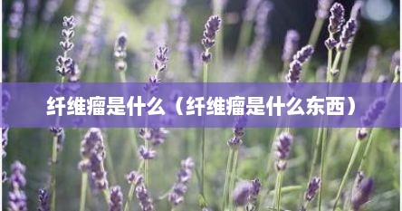 纤维瘤是什么（纤维瘤是什么东西）