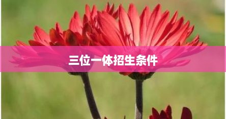 三位一体招生条件