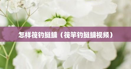 怎样筏钓鲢鳙（筏竿钓鲢鳙视频）