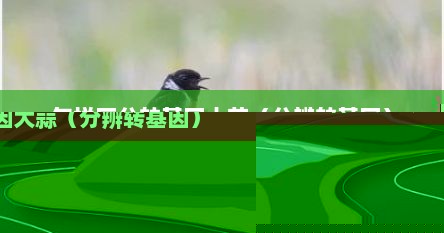 怎样区分转基因大蒜（分辨转基因）