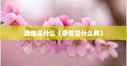 唐僧是什么（唐僧是什么教）