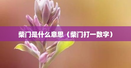 柴门是什么意思（柴门打一数字）