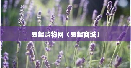 易趣购物网（易趣商城）