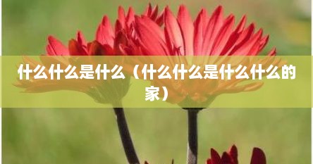 什么什么是什么（什么什么是什么什么的家）