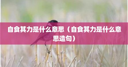 自食其力是什么意思（自食其力是什么意思造句）