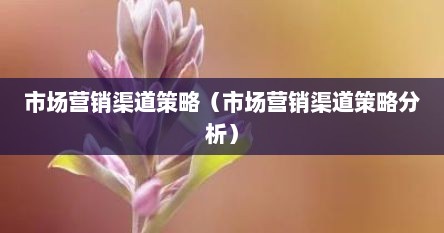 市场营销渠道策略（市场营销渠道策略分析）