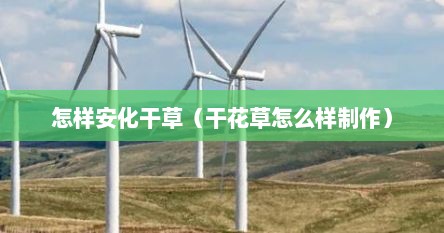 怎样安化干草（干花草怎么样制作）
