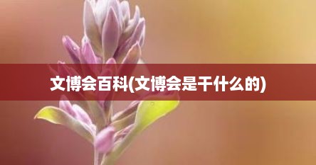 文博会百科(文博会是干什么的)