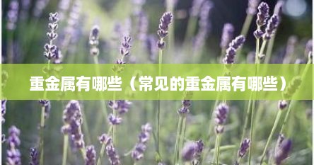 重金属有哪些（常见的重金属有哪些）