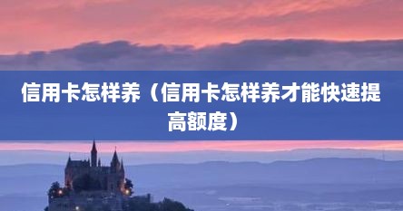 信用卡怎样养（信用卡怎样养才能快速提高额度）