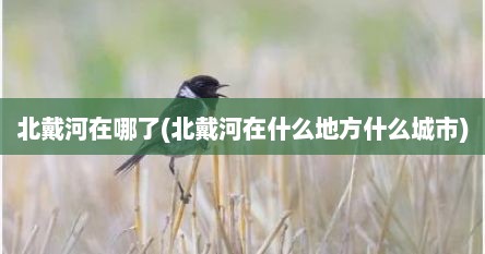 北戴河在哪了(北戴河在什么地方什么城市)