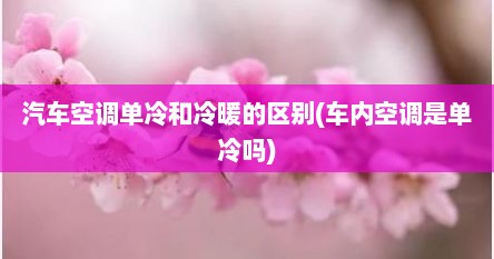 汽车空调单冷和冷暖的区别(车内空调是单冷吗)