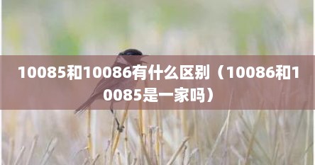 10085和10086有什么区别（10086和10085是一家吗）