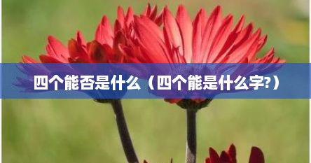 四个能否是什么（四个能是什么字?）