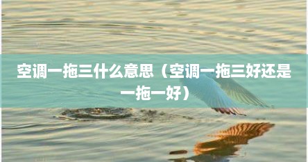 空调一拖三什么意思（空调一拖三好还是一拖一好）