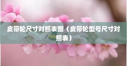 皮带轮尺寸对照表图（皮带轮型号尺寸对照表）