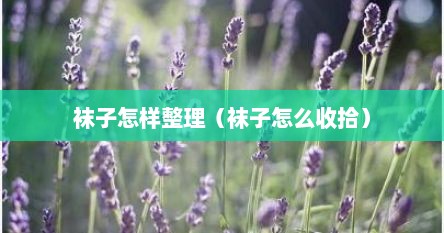 袜子怎样整理（袜子怎么收拾）