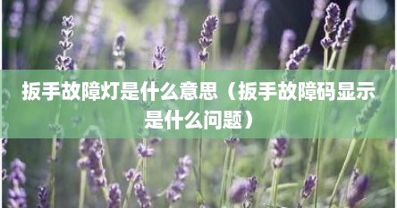 扳手故障灯是什么意思（扳手故障码显示是什么问题）