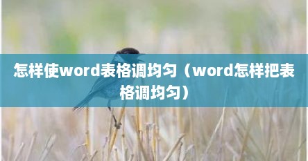 怎样使word表格调均匀（word怎样把表格调均匀）