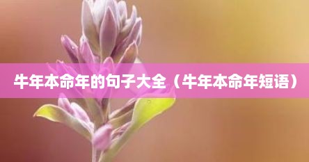 牛年本命年的句子大全（牛年本命年短语）