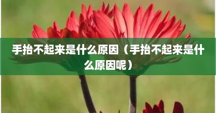 手抬不起来是什么原因（手抬不起来是什么原因呢）