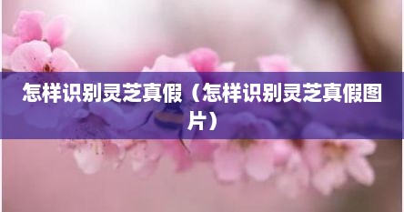 怎样识别灵芝真假（怎样识别灵芝真假图片）
