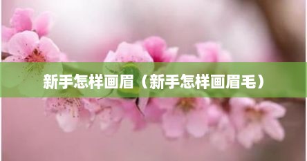 新手怎样画眉（新手怎样画眉毛）
