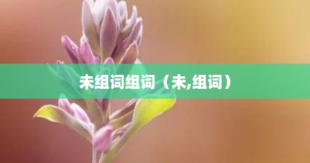 未组词组词（未,组词）