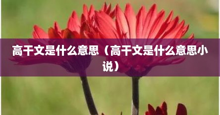 高干文是什么意思（高干文是什么意思小说）