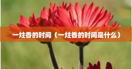 一炷香的时间（一炷香的时间是什么）