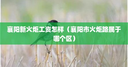襄阳新火炬工资怎样（襄阳市火炬路属于哪个区）