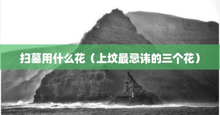 扫墓用什么花（上坟最忌讳的三个花）