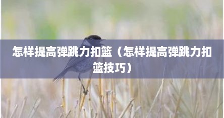 怎样提高弹跳力扣篮（怎样提高弹跳力扣篮技巧）