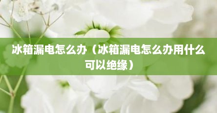 冰箱漏电怎么办（冰箱漏电怎么办用什么可以绝缘）
