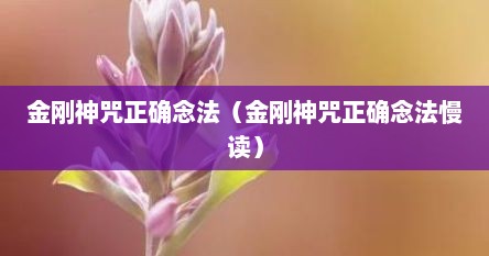 金刚神咒正确念法（金刚神咒正确念法慢读）