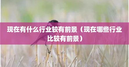 现在有什么行业较有前景（现在哪些行业比较有前景）