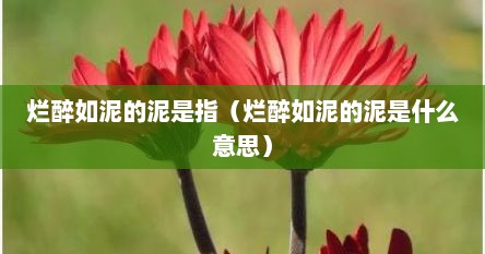 烂醉如泥的泥是指（烂醉如泥的泥是什么意思）
