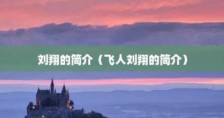 刘翔的简介（飞人刘翔的简介）